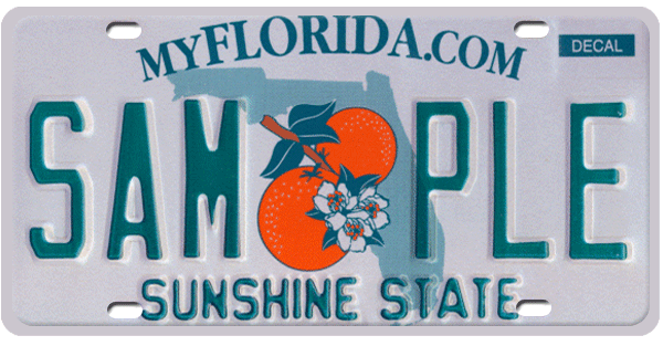 Renew Your Vehicle Registration Here on Our Official Website! – Alachua County  Tax Collector