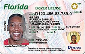 Image of a Class E Florida Driver License